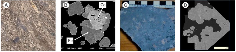 應(yīng)用案例 | 奧林巴斯手持XRF光譜儀檢測(cè)礦石里的鈷含量